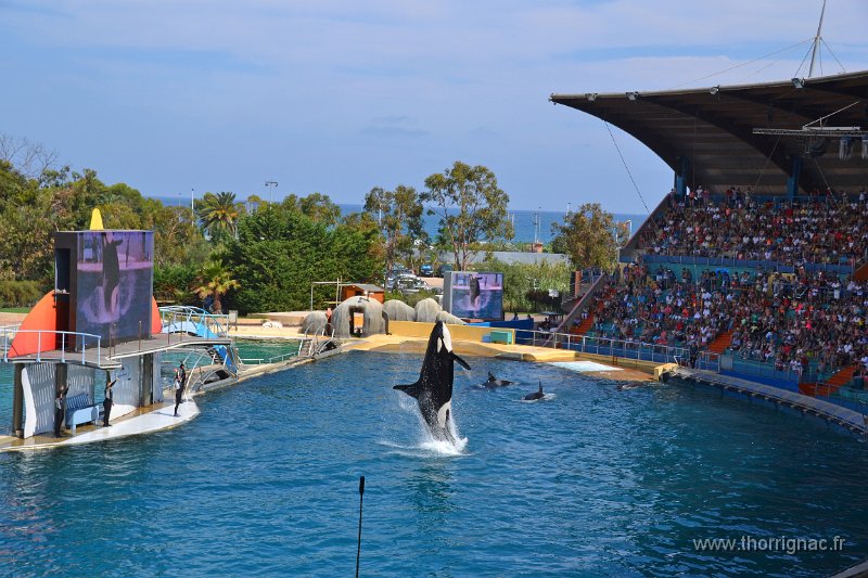 Marineland aout 2014 101.JPG - Marineland - Parc d'attractions aquatiques - Antibes - Août 2014